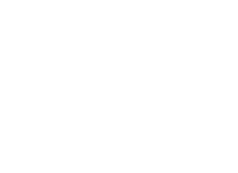 VELS & GIESEN Logo